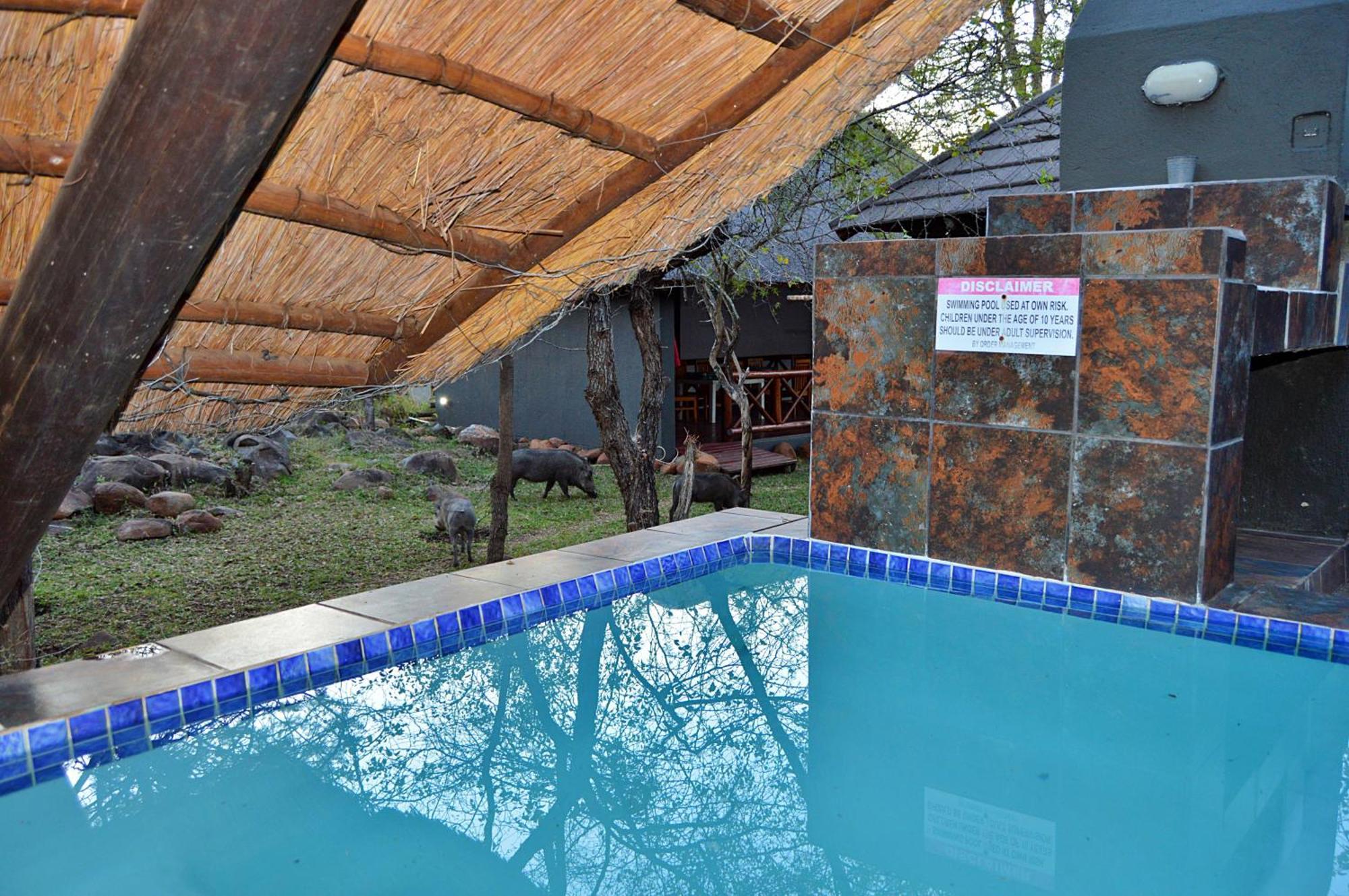 Royal Marlothi Kruger Safari Lodge And Spa Marloth Park Extérieur photo