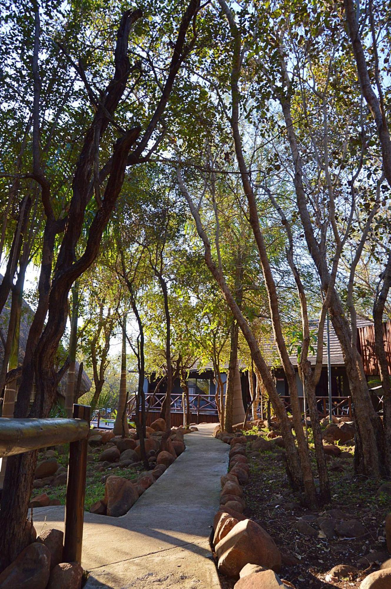 Royal Marlothi Kruger Safari Lodge And Spa Marloth Park Extérieur photo